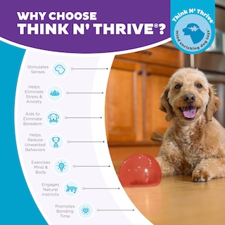 Foto 7 | Foto 7 | Juguete Interactivo Dispensador De Golosinas Para Perros Outward Hound Lil' Snoop - Venta Internacional.