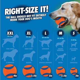 Foto 6 | Foto 6 | Lanzador De Pelotas Para Perros Chuckit! Pro 18 M Con Pelota Mediana Para 9 A 27 Kg - Venta Internacional.