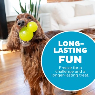 Foto 5 | Foto 5 | Juguete Masticable Para Perros Outward Hound Double-tuff Treat Stuffer Green - Venta Internacional.