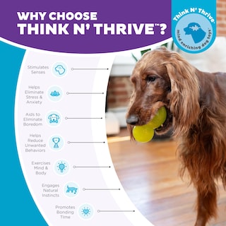 Foto 6 | Foto 6 | Juguete Masticable Para Perros Outward Hound Double-tuff Treat Stuffer Green - Venta Internacional.