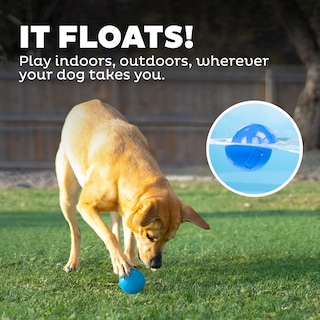 Foto 6 | Foto 6 | Dog Fetch Toy Outward Hound Orbee-tuff Squeak Ball Azul - Venta Internacional.