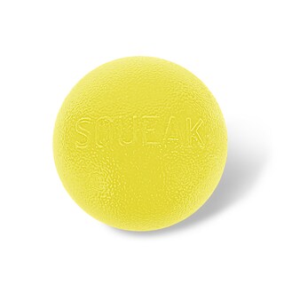 Foto 1 | Foto 1 | Dog Fetch Toy Outward Hound Orbee-tuff Squeak Ball, Amarilla - Venta Internacional.