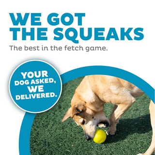 Foto 3 | Foto 3 | Dog Fetch Toy Outward Hound Orbee-tuff Squeak Ball, Amarilla - Venta Internacional.