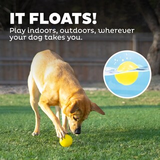 Foto 6 | Foto 6 | Dog Fetch Toy Outward Hound Orbee-tuff Squeak Ball, Amarilla - Venta Internacional.
