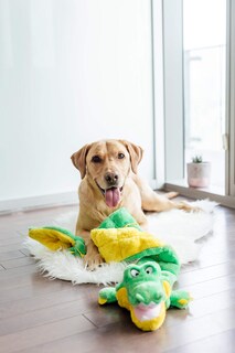 Foto 6 | Foto 6 | Juguete Para Perros Outward Hound Squeaker Matz Plush Gator Xxl - Venta Internacional.