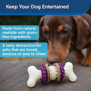 Foto 2 | Foto 2 | Juguete Para Perros Petsafe Busy Buddy Bristle Bone - Venta Internacional.