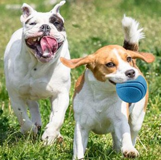 Foto 4 | Foto 4 | Pelota De Goma Para Mascotas, Juguetes Para Entrenamiento, Masticar, Jugar, Buscar Y Morder - Venta Internacional.