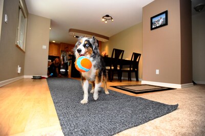 Foto 3 | Foto 3 | Juguete Para Perros Chuckit! Bola Fetch Para Interiores, 12 Cm, Naranja Y Azul - Venta Internacional.