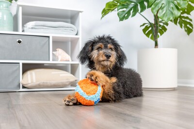 Foto 4 | Foto 4 | Juguete Para Perros Chuckit! Bola Fetch Para Interiores, 12 Cm, Naranja Y Azul - Venta Internacional.