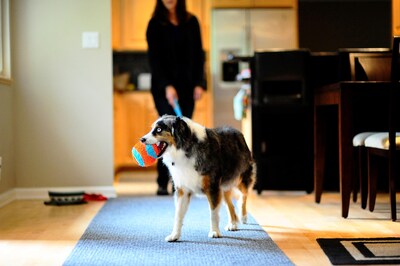Foto 5 | Foto 5 | Juguete Para Perros Chuckit! Bola Fetch Para Interiores, 12 Cm, Naranja Y Azul - Venta Internacional.