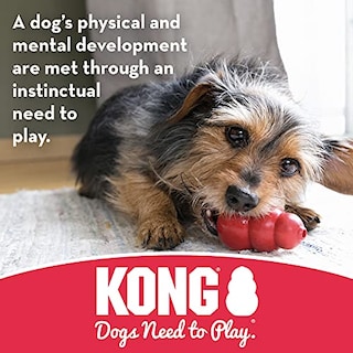 Foto 4 | Foto 4 | Chew Bone Toy Kong Goodie Bone De Goma Duradera Para Perros De Tamaño Mediano - Venta Internacional.
