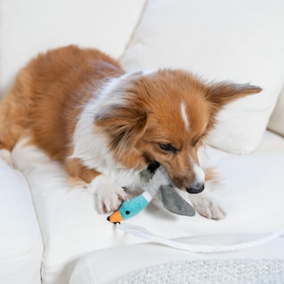 Foto 6 | Foto 6 | Dog Wand Toy Outward Hound Tail Teaser Interactivo Con Chirriador - Venta Internacional.