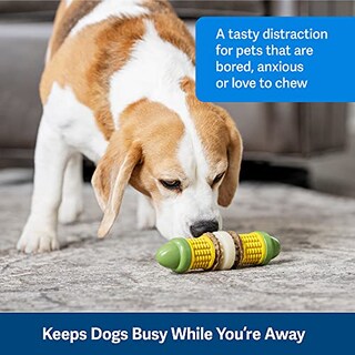 Foto 2 | Foto 2 | Juguete Para Perros Petsafe Busy Buddy Cravin' Corncob Con Anillo De Golosinas - Venta Internacional.