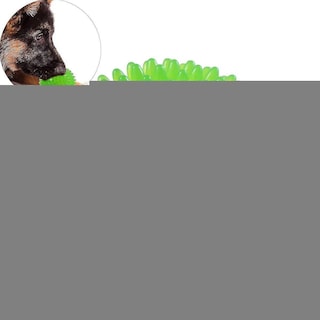 Foto 1 | Foto 1 | Pelota De Juguete Para Perros Huoguo Squeakers Ball, Bola Puntiaguda, Bola Chirriante, 10 Cm - Venta Internacional.