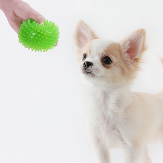 Foto 5 | Foto 5 | Pelota De Juguete Para Perros Huoguo Squeakers Ball, Bola Puntiaguda, Bola Chirriante, 10 Cm - Venta Internacional.