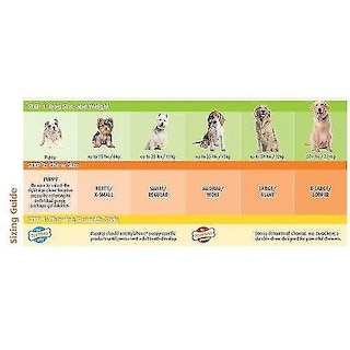 Foto 4 | Foto 4 | Juguete Para Perros, Hueso Masticable, Doble Acción, Nailon, Tamaño Superior, Huoguo - Venta Internacional.