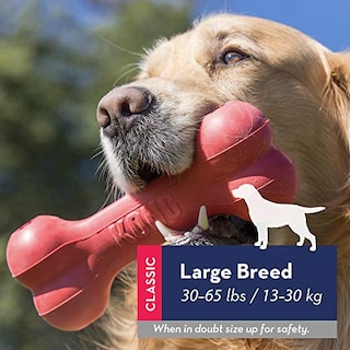 Foto 2 | Foto 2 | Toy Kong Goodie Bone And Flyer Para Perros Grandes - Venta Internacional.