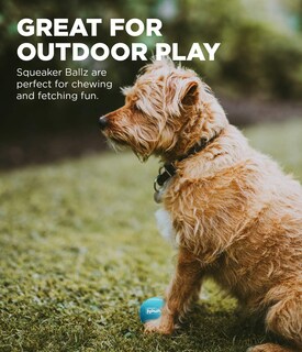 Foto 4 | Foto 4 | Juguete Para Perros Outward Hound Squeaker Ballz Fetch, Talla Xs, Paquete De 4 - Venta Internacional.