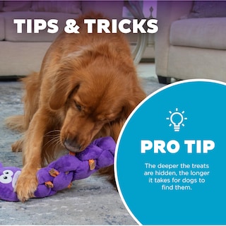 Foto 5 | Foto 5 | Puzzle Para Perros Outward Hound Nina Ottosson Twistiez De Peluche - Venta Internacional.