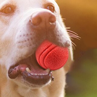 Foto 2 | Foto 2 | Pelota De Goma Para Mascotas, Juguetes Para Entrenamiento, Masticar, Jugar, Buscar Y Morder - Venta Internacional.