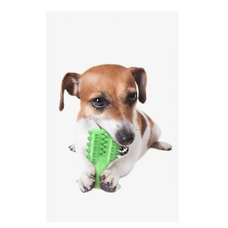 Foto 1 | Foto 1 | Juguetes Para Perros Huoguo Juguetes Con Dientes De Perro Para Cachorros, Goma C - Venta Internacional.