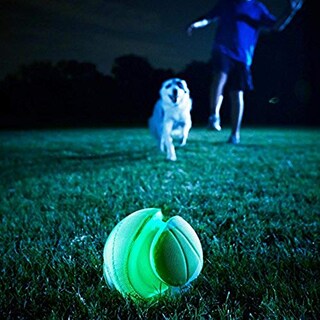 Foto 4 | Foto 4 | ¡tíralo! Pelota De Juguete Para Perros Kick Fetch, Que Brill - Venta Internacional.