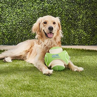 Foto 7 | Foto 7 | ¡tíralo! Pelota De Juguete Para Perros Kick Fetch, Que Brill - Venta Internacional.