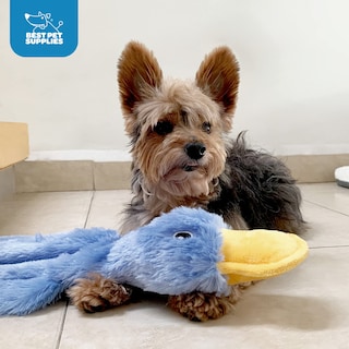 Foto 5 | Foto 5 | Juguete Arrugado Para Perros Best Pet Supplies, Pato, Para Todas Las Razas, Azul - Venta Internacional.