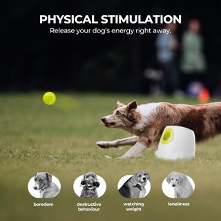 Foto 6 | Foto 6 | Lanzador Automático De Pelotas Para Perros, Todo Para Patas, Distancia Ajustable - Venta Internacional.