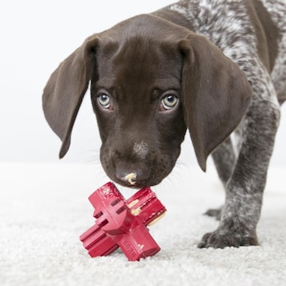 Foto 4 | Foto 4 | Juguete Para Perros Kong Jump'n Jack De Caucho Natural Para Perros Grandes - Venta Internacional.
