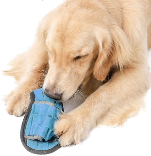 Foto 5 | Foto 5 | Zapatilla De Juguete Para Perros Squeaky, Resistente A Mordeduras, Para Masticar Agresivamente - Venta Internacional.