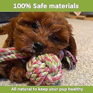 Foto 3 | Foto 3 | Paquete De Juguetes Para Perros Huoguo Con Bola De Golosinas, Cuerda Masticable 100% Natural - Venta Internacional.