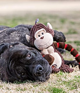 Foto 7 | Foto 7 | Juguete Para Perros Outward Hound Thunda Tugga Cow Plush & Squeaky - Venta Internacional.