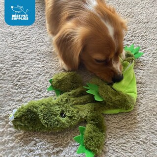 Foto 7 | Foto 7 | Juguete Para Perros Best Pet Supplies 2 En 1, Ardilla Rellena Y Chirriante - Venta Internacional.