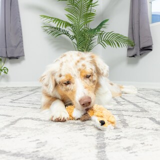 Foto 2 | Foto 2 | Juguete Para Perros Spot Skinneeez Extreme Quilted Fox Durable 23 Pulgadas - Venta Internacional.