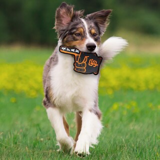 Foto 6 | Foto 6 | Juguete Para Perros Pets First Mlb San Francisco Giants #1 Para Fanáticos - Venta Internacional.