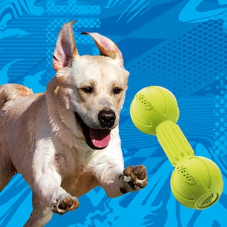 Foto 5 | Foto 5 | Barra Para Perros Nerf, Goma, Masticable, Ligera, Verde - Venta Internacional.