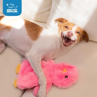 Foto 4 | Foto 4 | Juguete Para Perros Best Pet Supplies, Con Forma De Pollo Arrugado, De Felpa, Rosa - Venta Internacional.