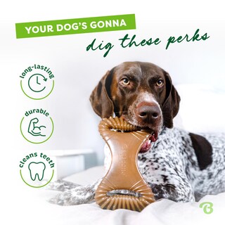 Foto 3 | Foto 3 | Juguete Masticable Para Perros Benebone Dental Duradero Para Masticadores Agresivos - Venta Internacional.