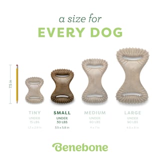 Foto 4 | Foto 4 | Juguete Masticable Para Perros Benebone Dental Duradero Para Masticadores Agresivos - Venta Internacional.