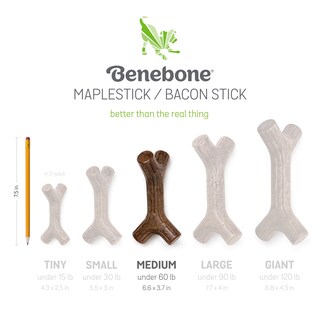 Foto 6 | Foto 6 | Juguetes Masticables Para Perros Benebone Maplestick/zaggler, Paquete De 2 Unidades, Tamaño Mediano - Venta Internacional.