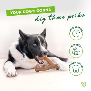 Foto 3 | Foto 3 | Juguete Masticable Para Perros Benebone Wishbone, Duradero Para Masticadores Agresivos - Venta Internacional.