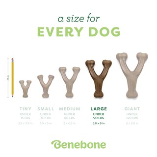 Foto 5 | Foto 5 | Juguete Masticable Para Perros Benebone Wishbone, Duradero Para Masticadores Agresivos - Venta Internacional.