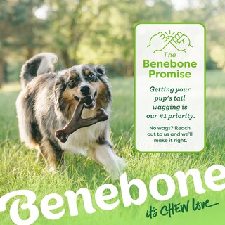 Foto 7 | Foto 7 | Juguete Masticable Para Perros Benebone Wishbone, Duradero Para Masticadores Agresivos - Venta Internacional.