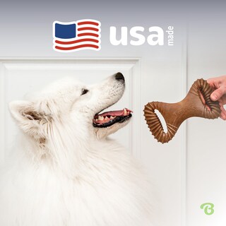 Foto 5 | Foto 5 | Juguete Masticable Para Perros Benebone Dental Duradero Para Masticadores Agresivos - Venta Internacional.