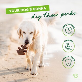 Foto 3 | Foto 3 | Juguetes Masticables Para Perros Benebone Tiny, Paquete De 2 Unidades, Con Forma De Espina De Pescado - Venta Internacional.