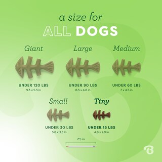 Foto 4 | Foto 4 | Juguetes Masticables Para Perros Benebone Tiny, Paquete De 2 Unidades, Con Forma De Espina De Pescado - Venta Internacional.