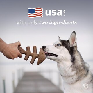 Foto 5 | Foto 5 | Juguetes Masticables Para Perros Benebone Tiny, Paquete De 2 Unidades, Con Forma De Espina De Pescado - Venta Internacional.