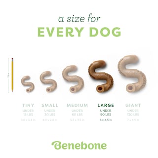 Foto 4 | Foto 4 | Juguete Masticable Para Perros Benebone Tripe Bone Duradero Para Masticadores Agresivos - Venta Internacional.