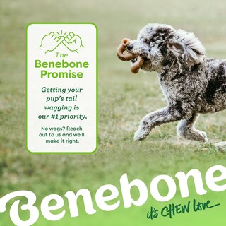 Foto 6 | Foto 6 | Juguete Masticable Para Perros Benebone Tripe Bone Duradero Para Masticadores Agresivos - Venta Internacional.